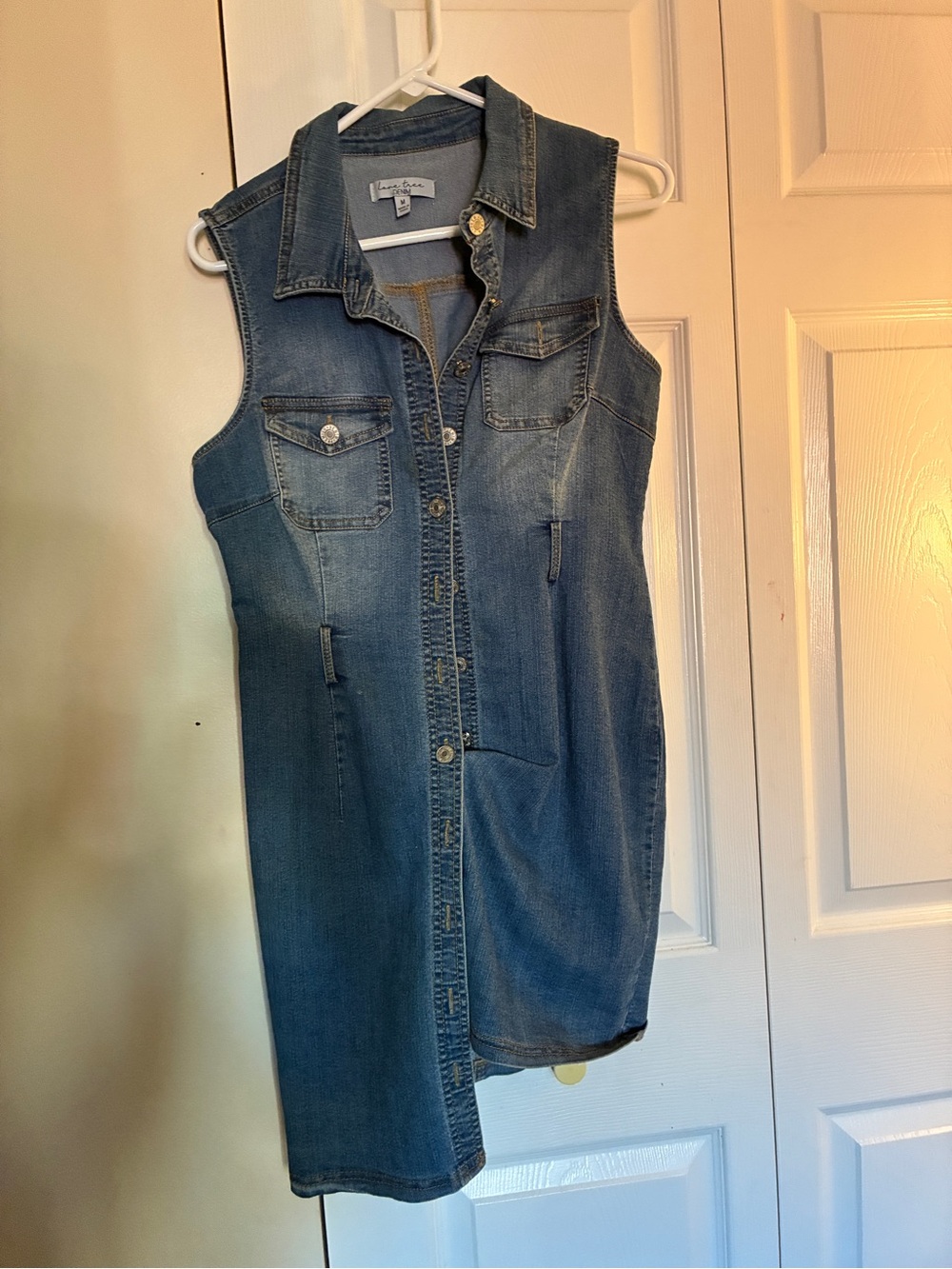 Love Tree Sleeveless Denim Button-Front Dress in Blue